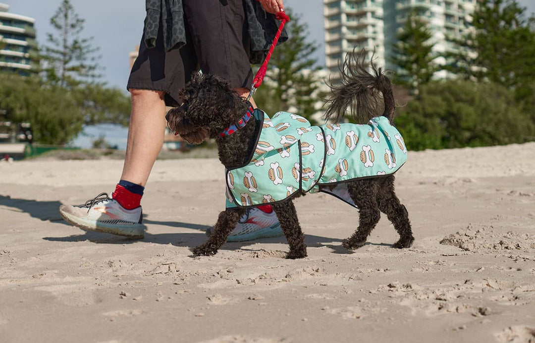 Style your pooch with these gorgeous pet accessories