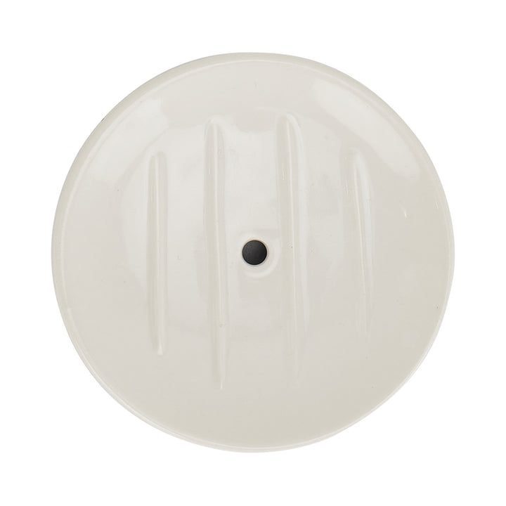 Shower steamer dish