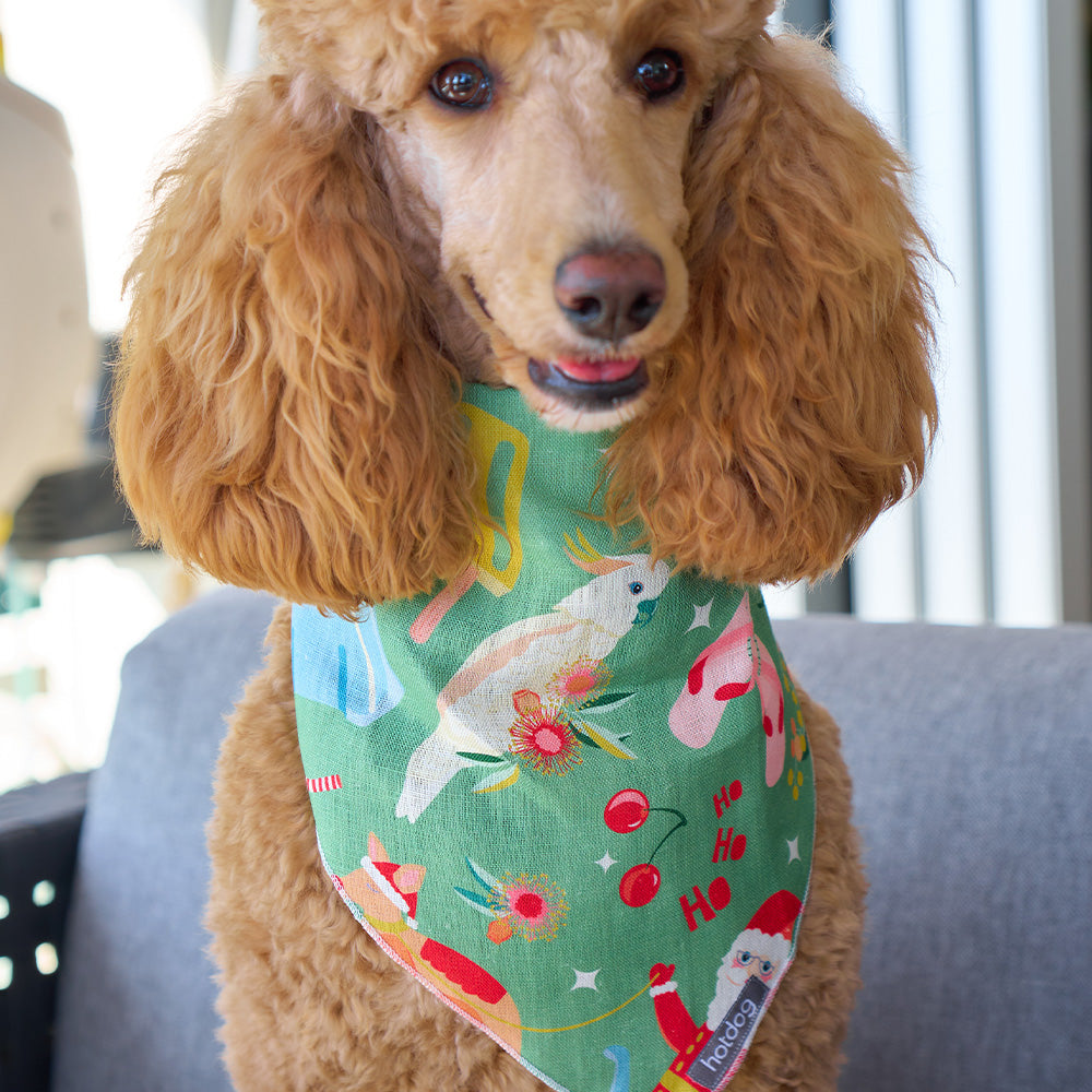 Holiday green - Bandana Bib - hot dog - christmas