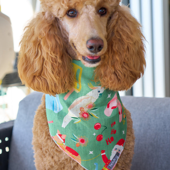 Holiday green - Bandana Bib - hot dog - christmas