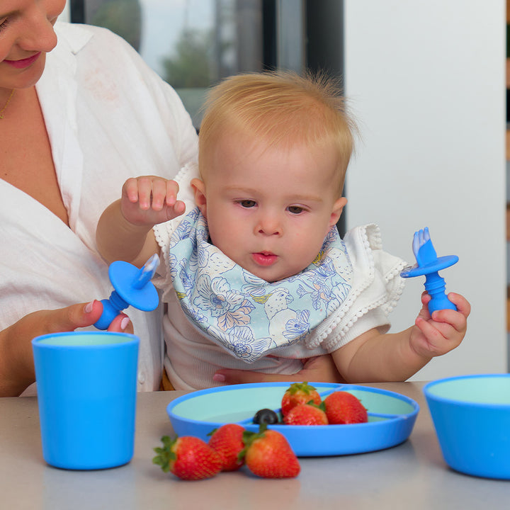 Annabel Trends - Silicone Little Fork and Spoon set - pink - blue - two tone dinner set