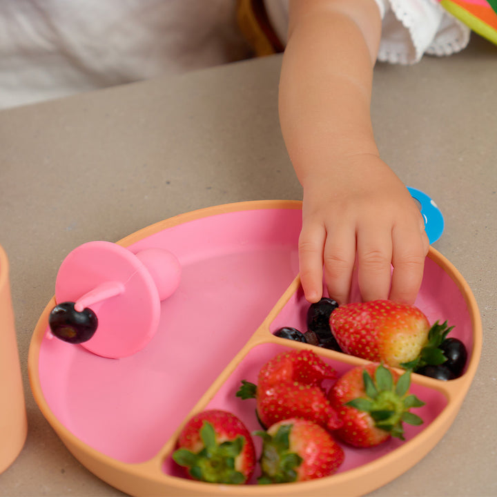Annabel Trends - Silicone Little Fork and Spoon set - pink - two tone dinner set