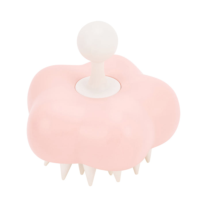 Beauty Ritual Hair Care gift set - hair massage brush