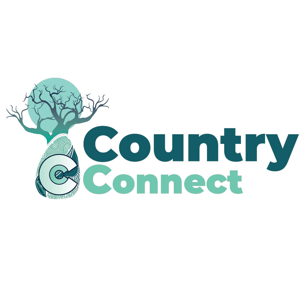 country-connect-logo