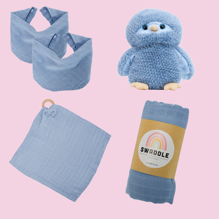 Newborn Bundle - Blue
