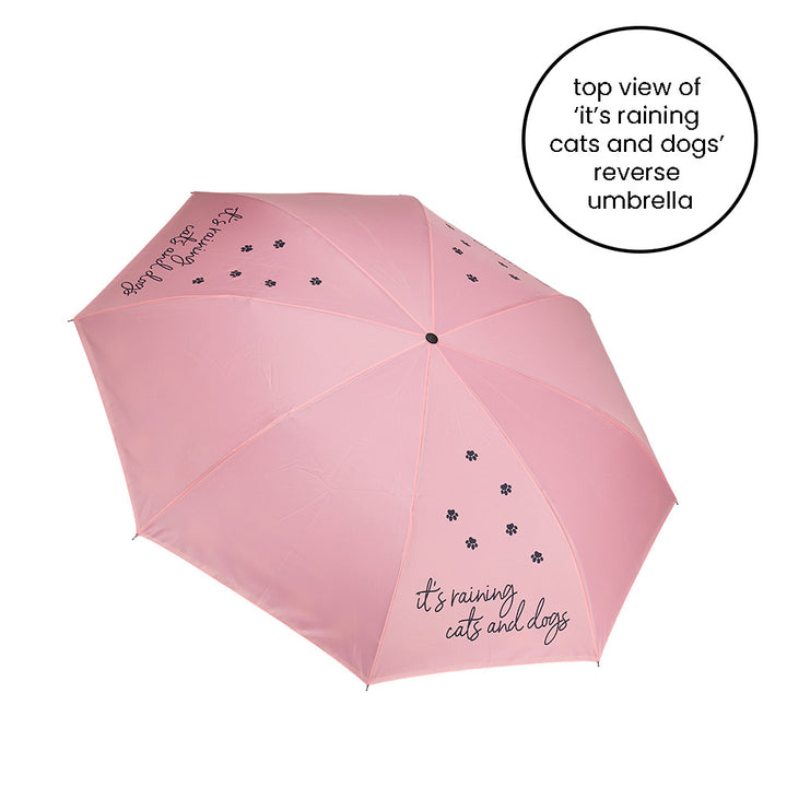 Top view of its raining cats and dogs reverse umbrella