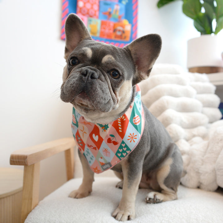 Annabel Trends Christmas Harlequin cotton hot dog bandana