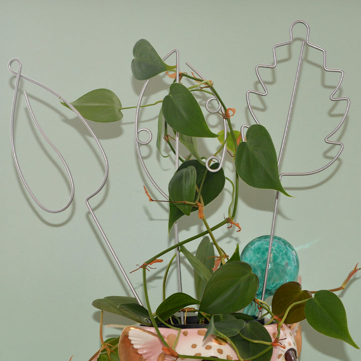 Annabel Trends plant leaf stakes