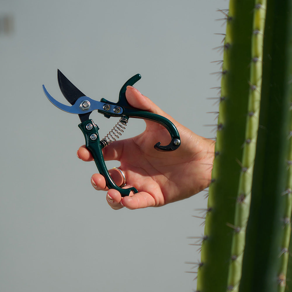 Annabel Trends Sprout garden pruners