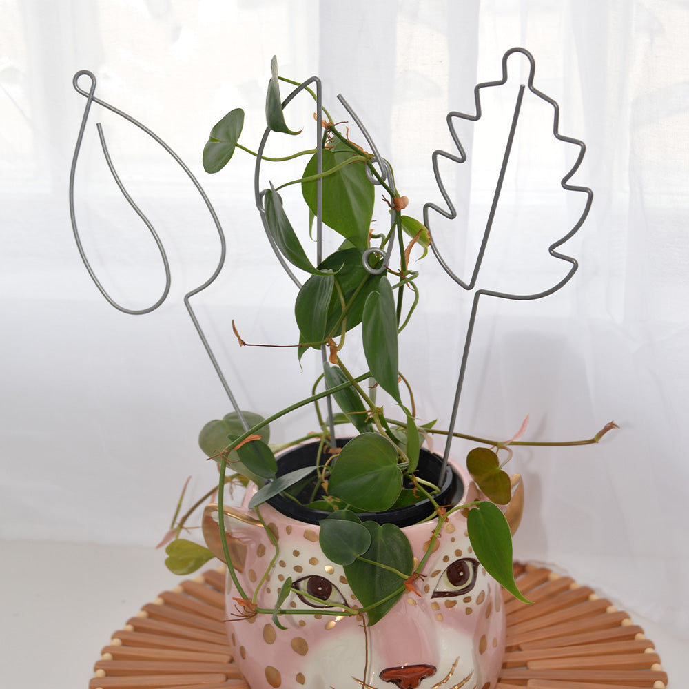 Annabel Trends plant leaf stakes