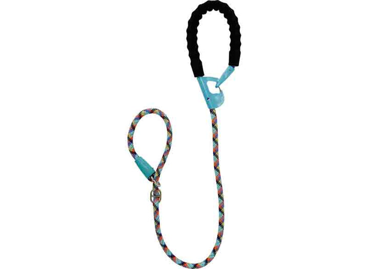 Snap & Stay 2 in 1 Leash