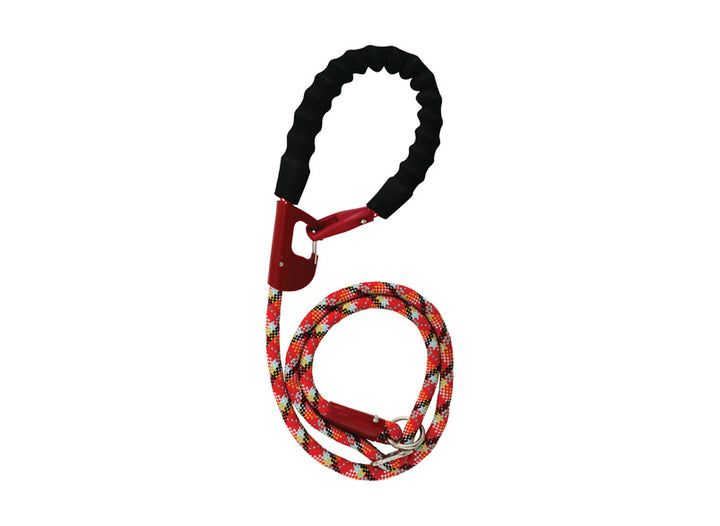 Snap & Stay 2 in 1 Leash