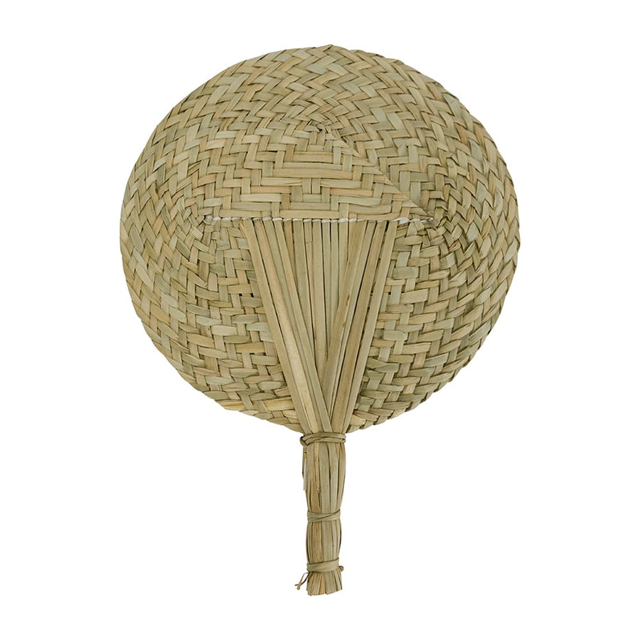 seagrass fan - large