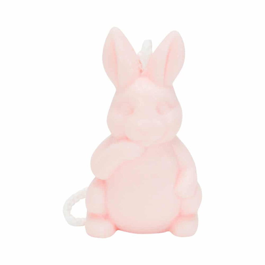 Soap on a rope bunny