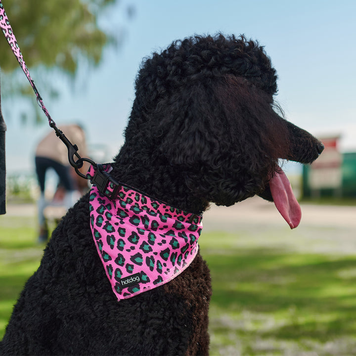 Hot Dog - Cooling Bandana - Pink Ocelot