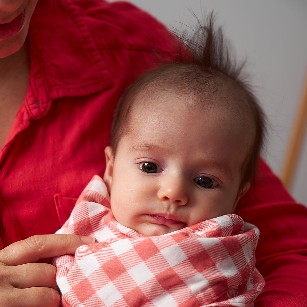 Baby muslin bib - gingham rhubarb