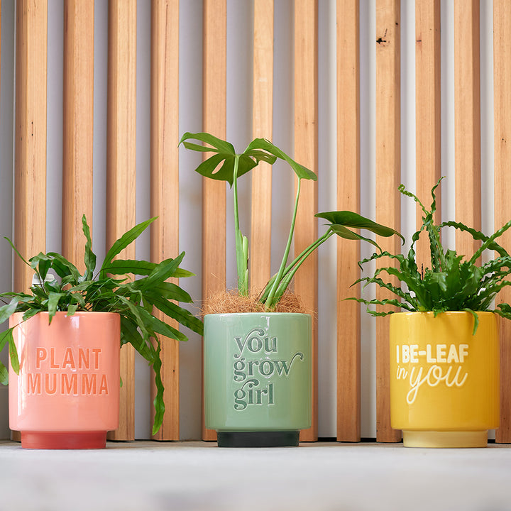 Ceramic Planters