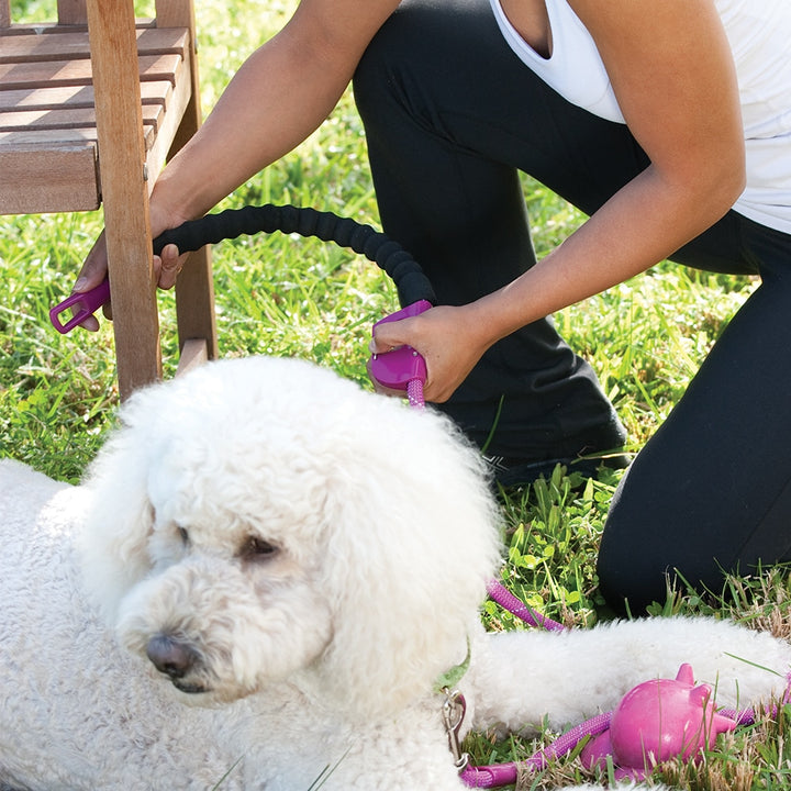 Snap & Stay 2 in 1 Leash