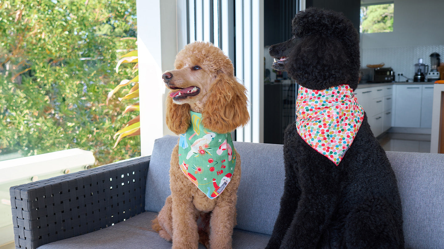 Hot dog Bandanas