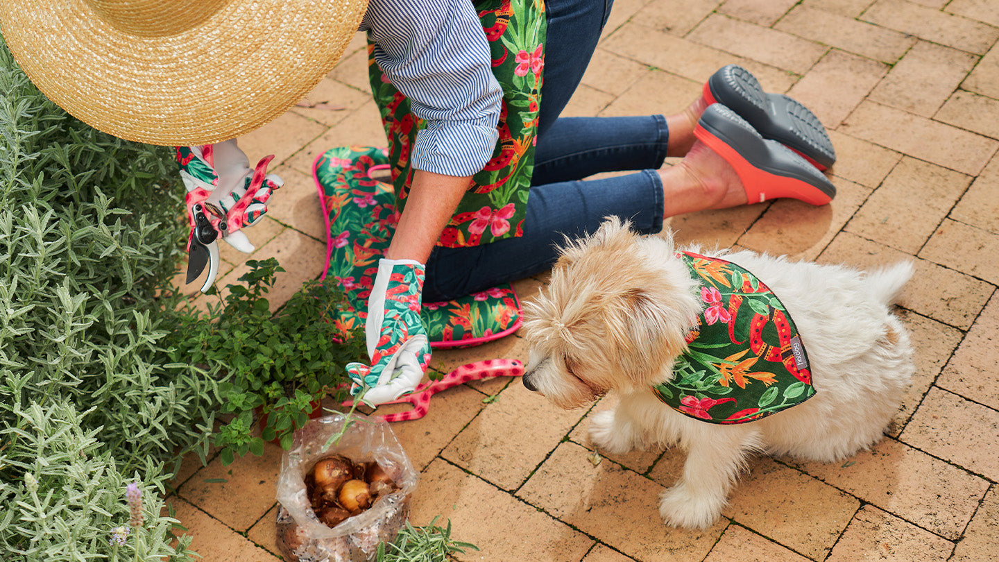 Jungle Snake - Aus Made