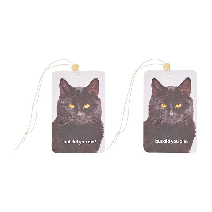 Hanging Air Fresheners - Scentarama Judgy - Counter Pack of 80