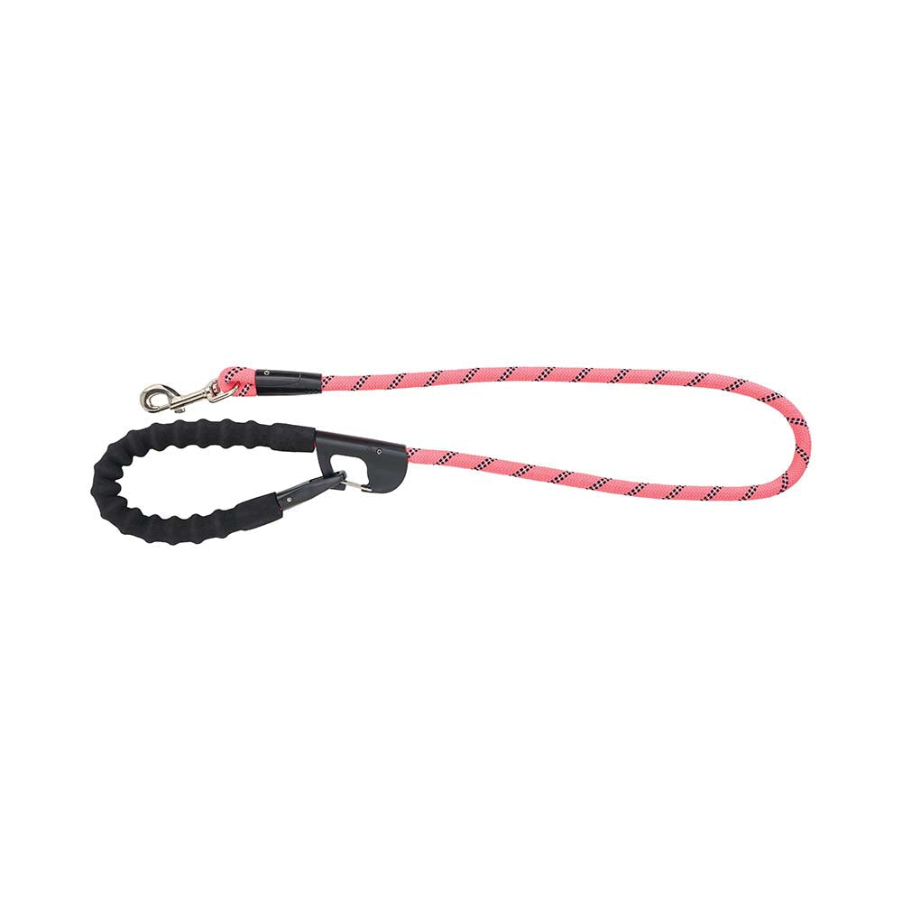 Neon pink dog leash on white background