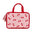 Vanity Toiletries Bag
