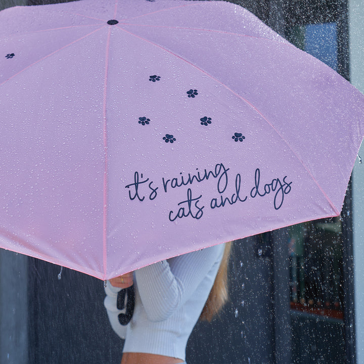 Reverse Umbrella - its raining cats and dogs