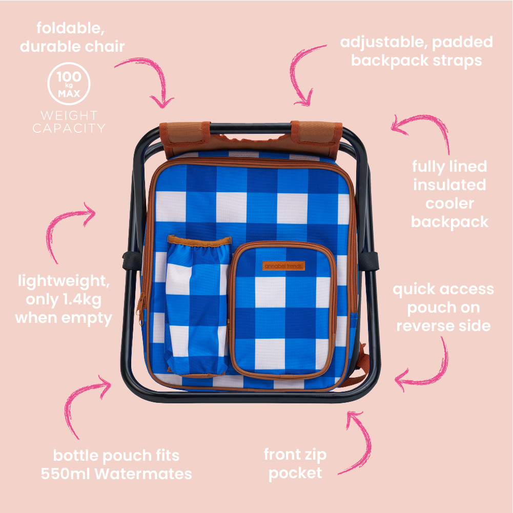 Picnic cooler chair backpack