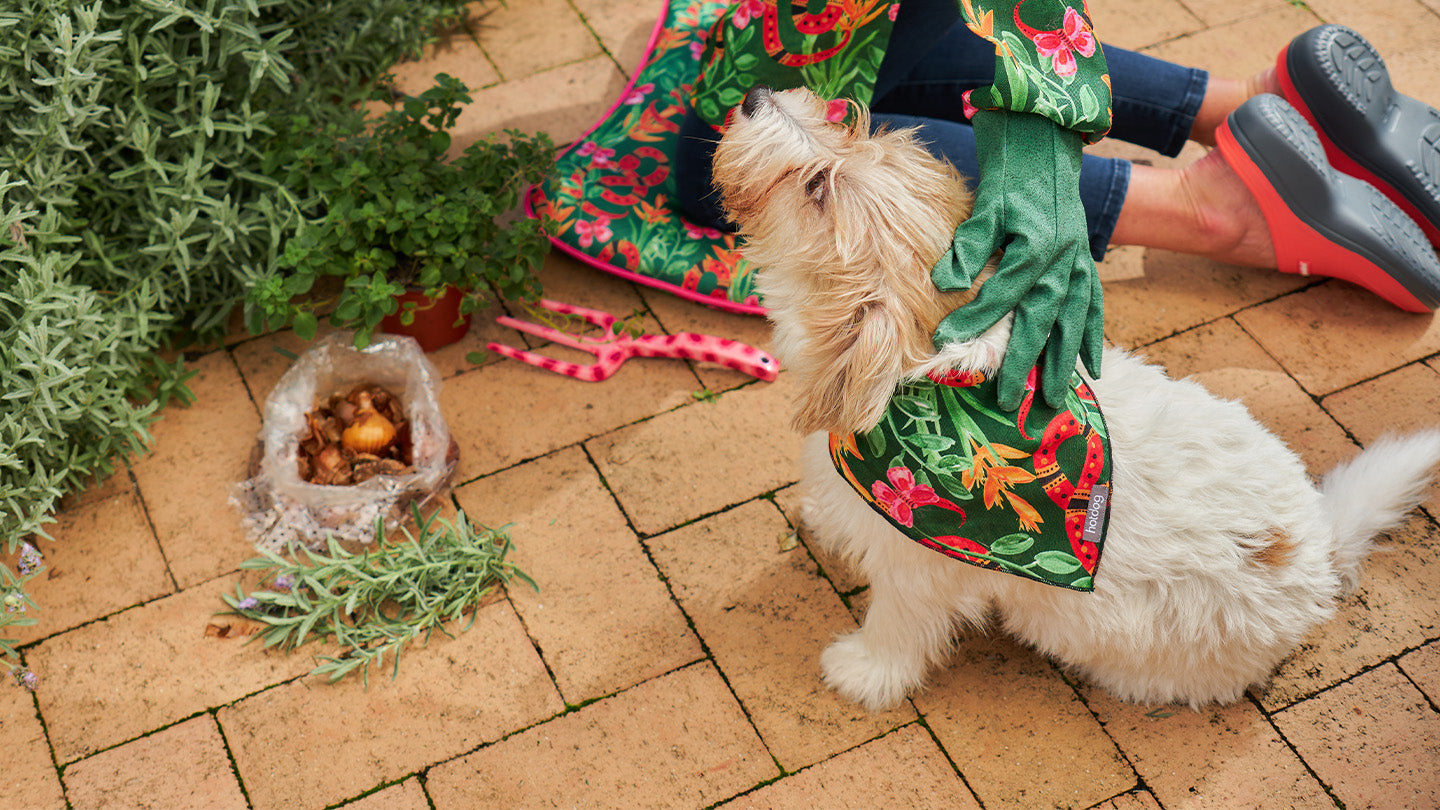 Hotdog Bandana Jungle Snake and garden ware