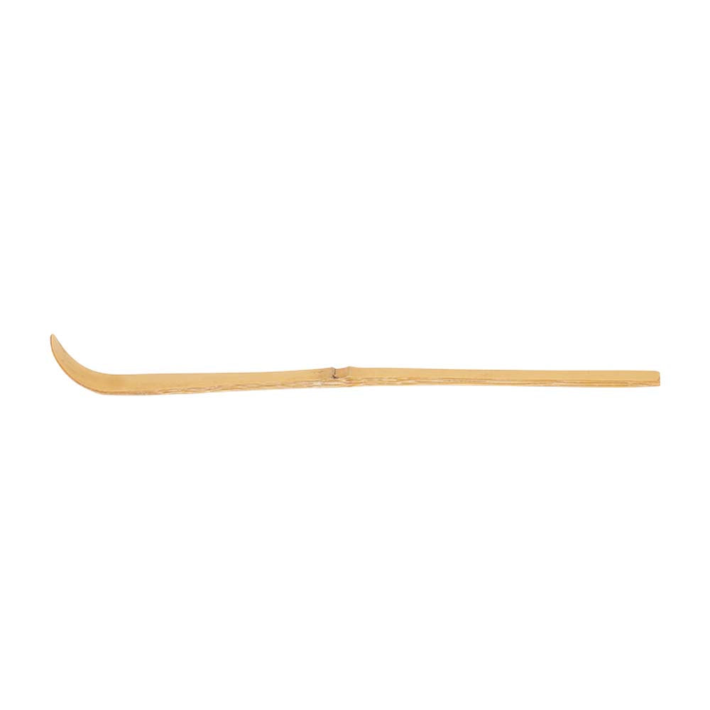 Sunglasses with tortoiseshell frame on a white background