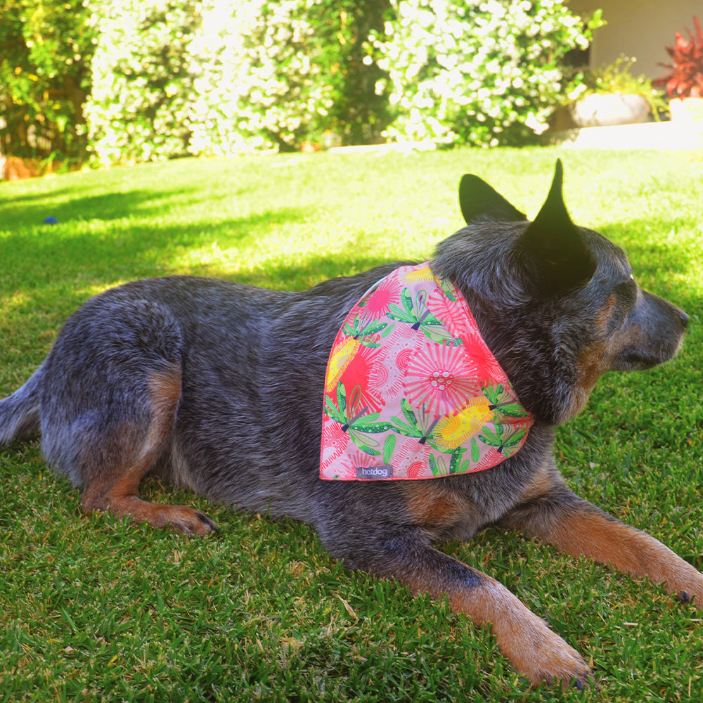 Annabel trends hot dog bandana