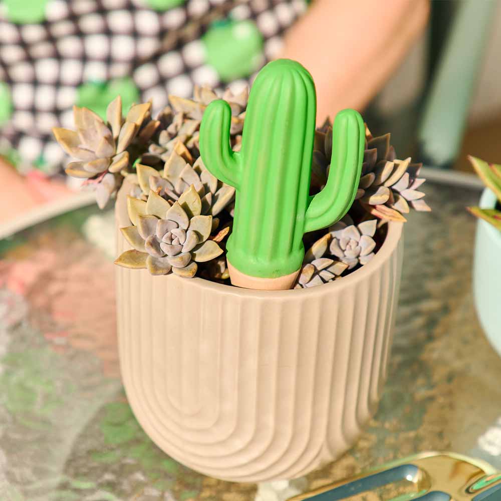 Cactus-shaped plant waterer in a pot with plants