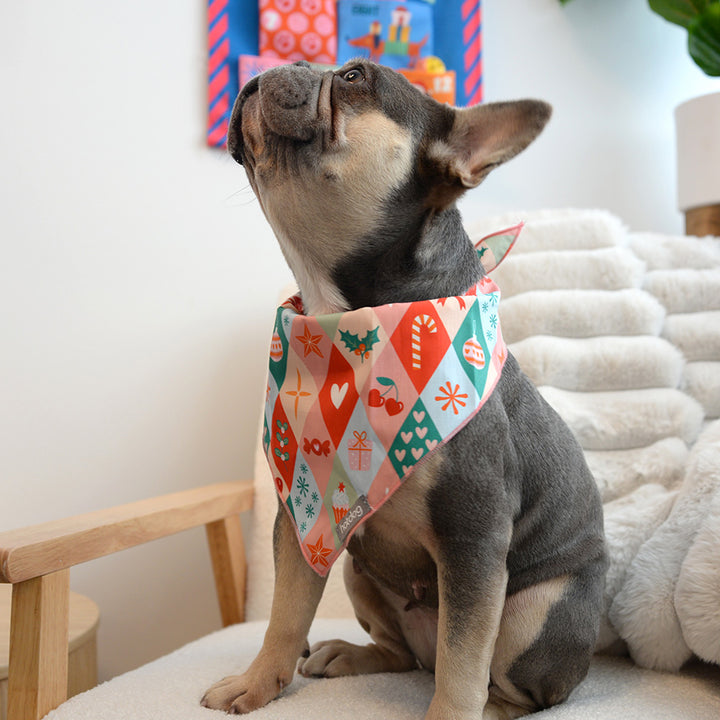 Annabel Trends Christmas Harlequin cotton hot dog bandana