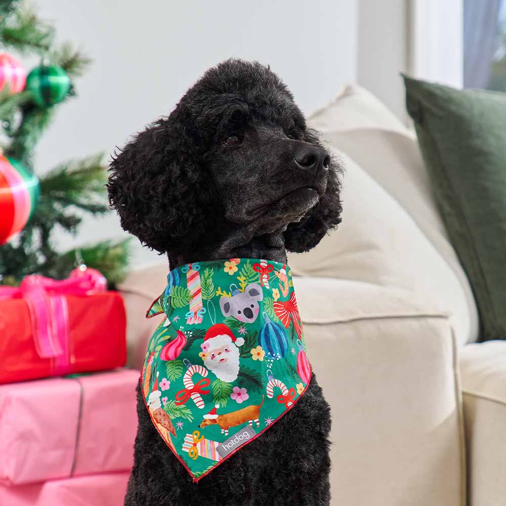 Black dog wearing a colorful bandana with festive designs in a living room setting.