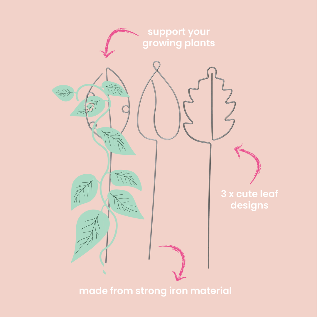 Sprout Indoor Plant Stakes - 3pc