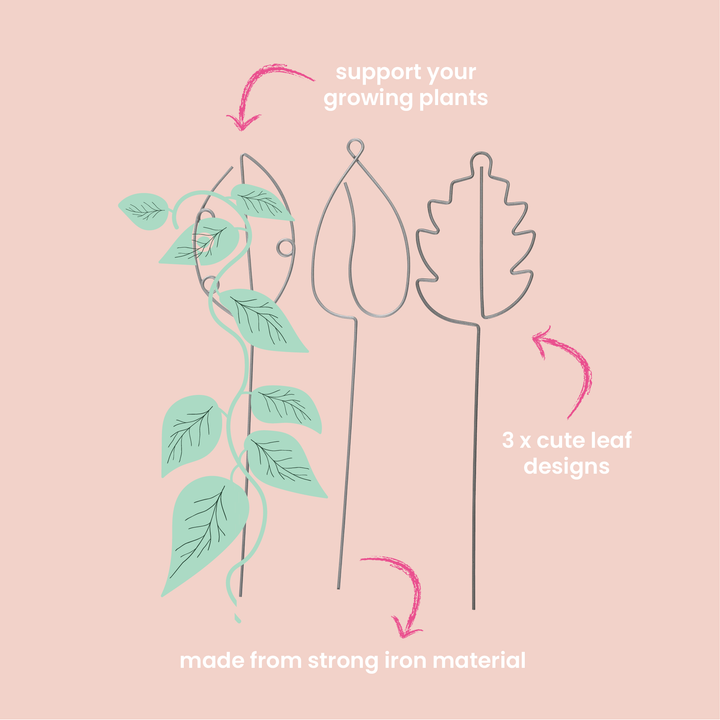 Sprout Indoor Plant Stakes - 3pc