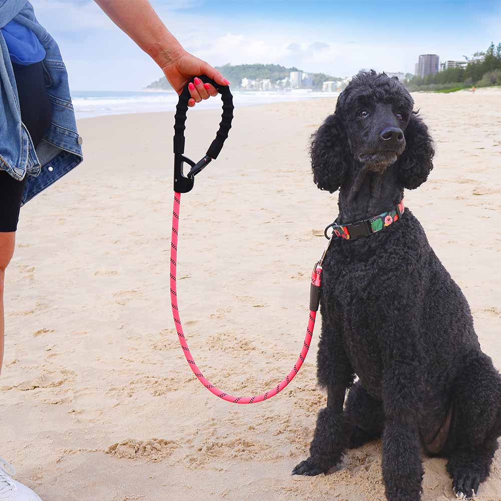 Snap & Stay Dog Leash