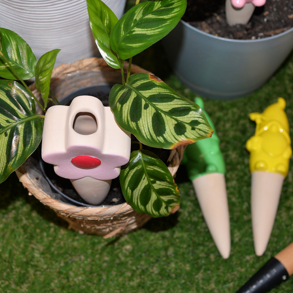 Annabel Trends Sprout Plant Waterers - flower and gnome