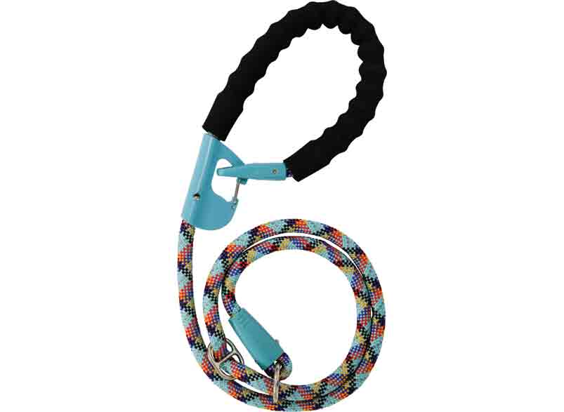 2 in 1 leash outlet