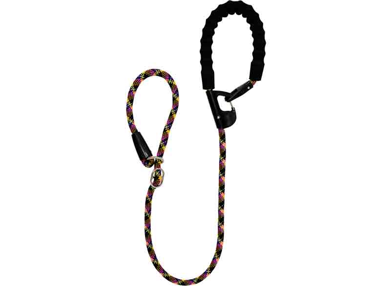 Snap & Stay 2 in 1 Leash – Annabel Trends