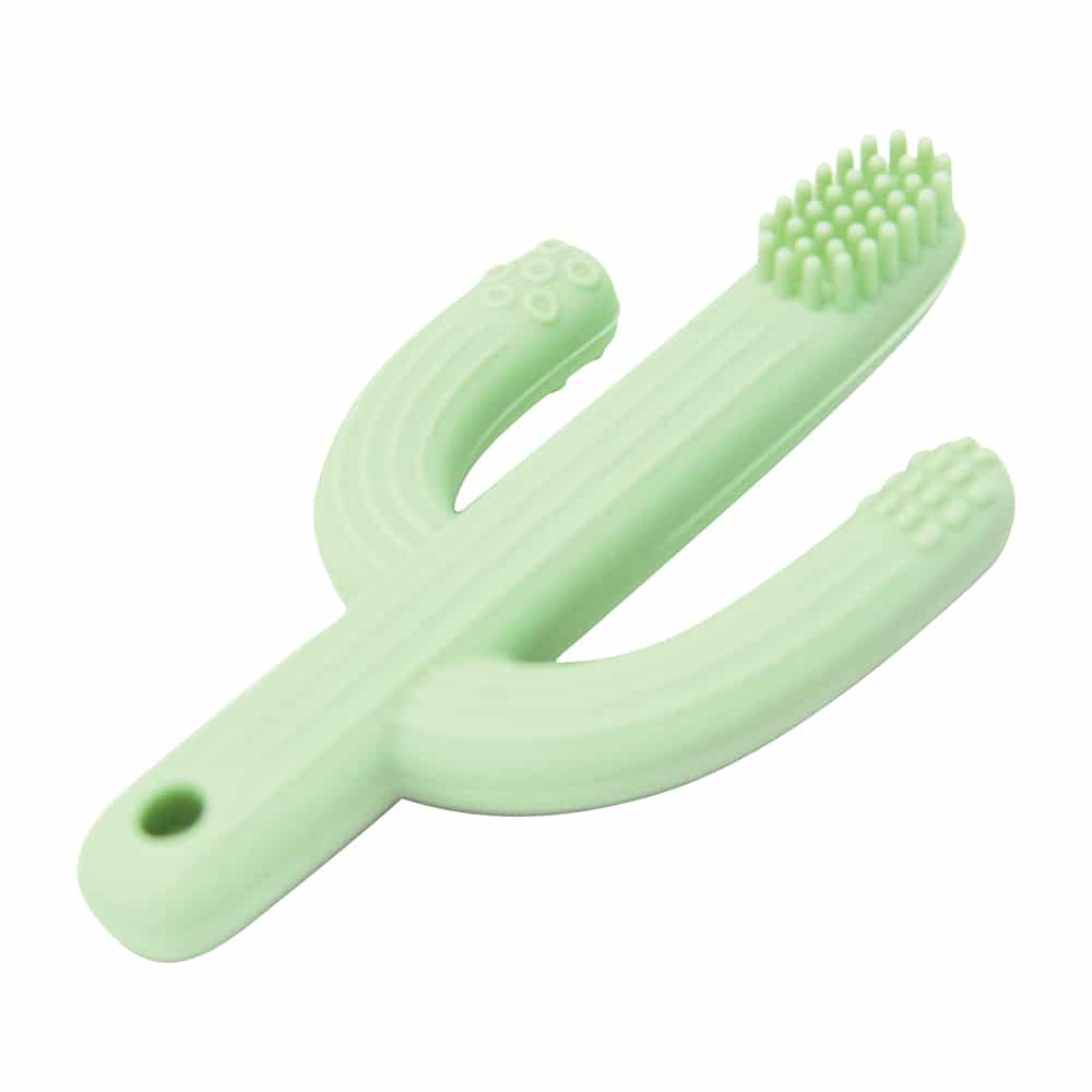 Silicone Teether - Cactus - Counter Pack of 16