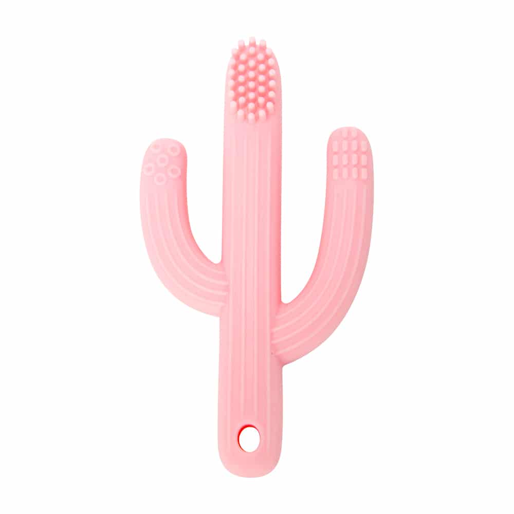 Silicone Teether - Cactus - Counter Pack of 16