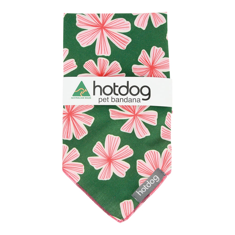 Hot Dog - Bandana - Cotton -  Bold Blooms