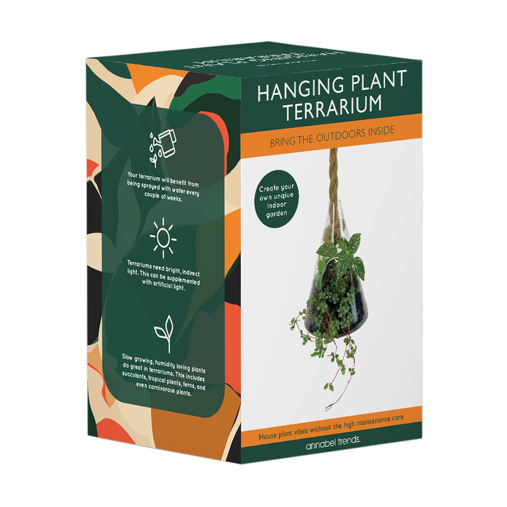 thrive medium hanging terrarium plant Hanging Terrarium - Cone