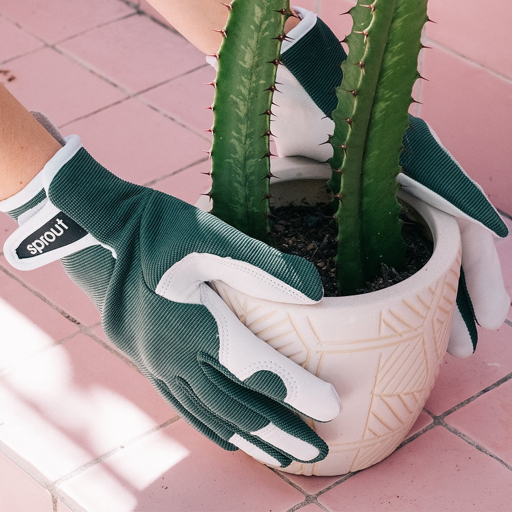 Skin gloves sales