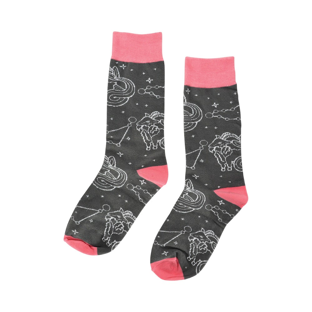 Zodiac Socks, capricorn