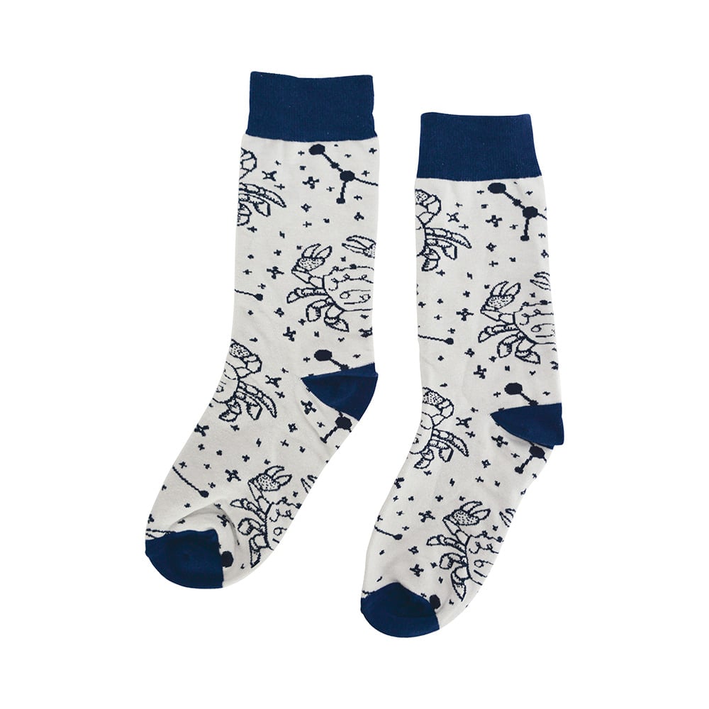 Boxed Socks - Zodiac