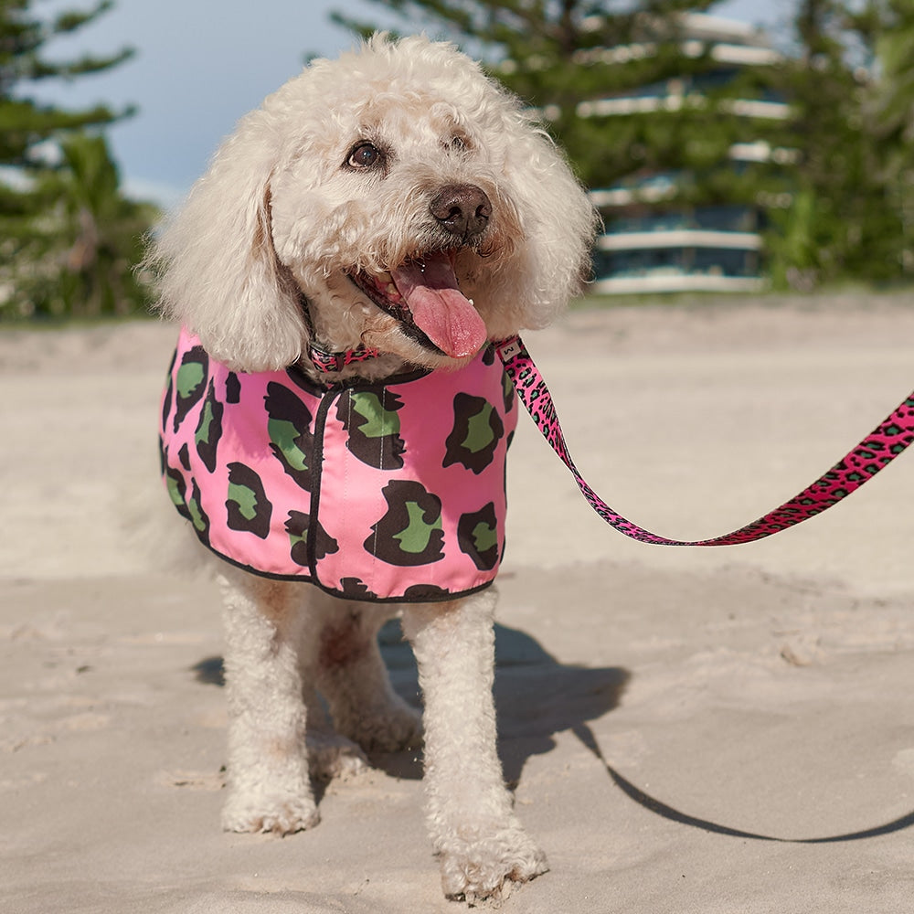 Hot Dog - Beach Hoodie Towel - Pink Ocelot