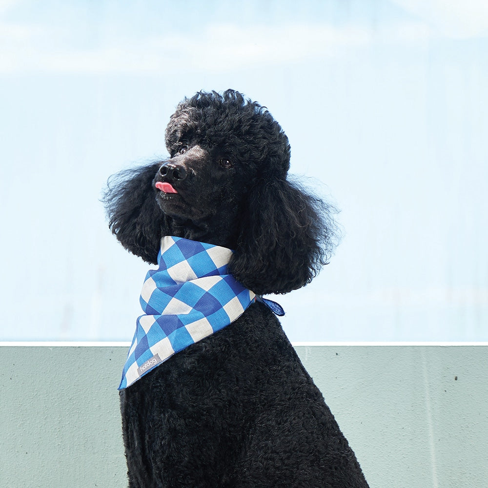 Hot outlet dog bandana